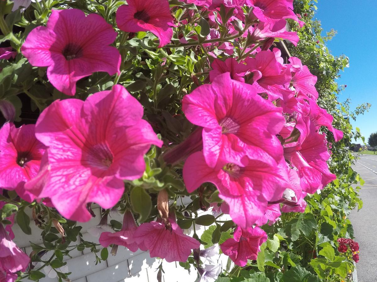 Hotel Garni Traube B&B Schwellbrunn Dış mekan fotoğraf