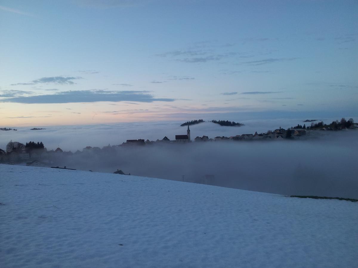 Hotel Garni Traube B&B Schwellbrunn Dış mekan fotoğraf
